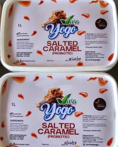 VIVA YOGO -2ltrs Infused